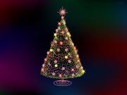ALBERO